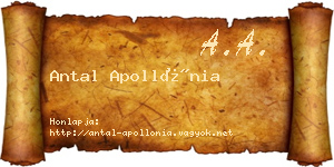 Antal Apollónia névjegykártya